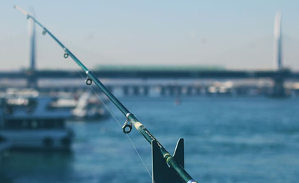 ˳ӯ����-����ƽ̨,ע�ᳩ����Ԫѡ��!