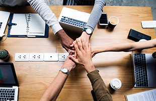 ˳ӯ����-����ƽ̨,ע�ᳩ����Ԫѡ��!