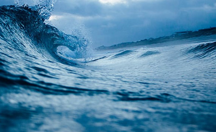 ˳ӯ����-����ƽ̨,ע�ᳩ����Ԫѡ��!