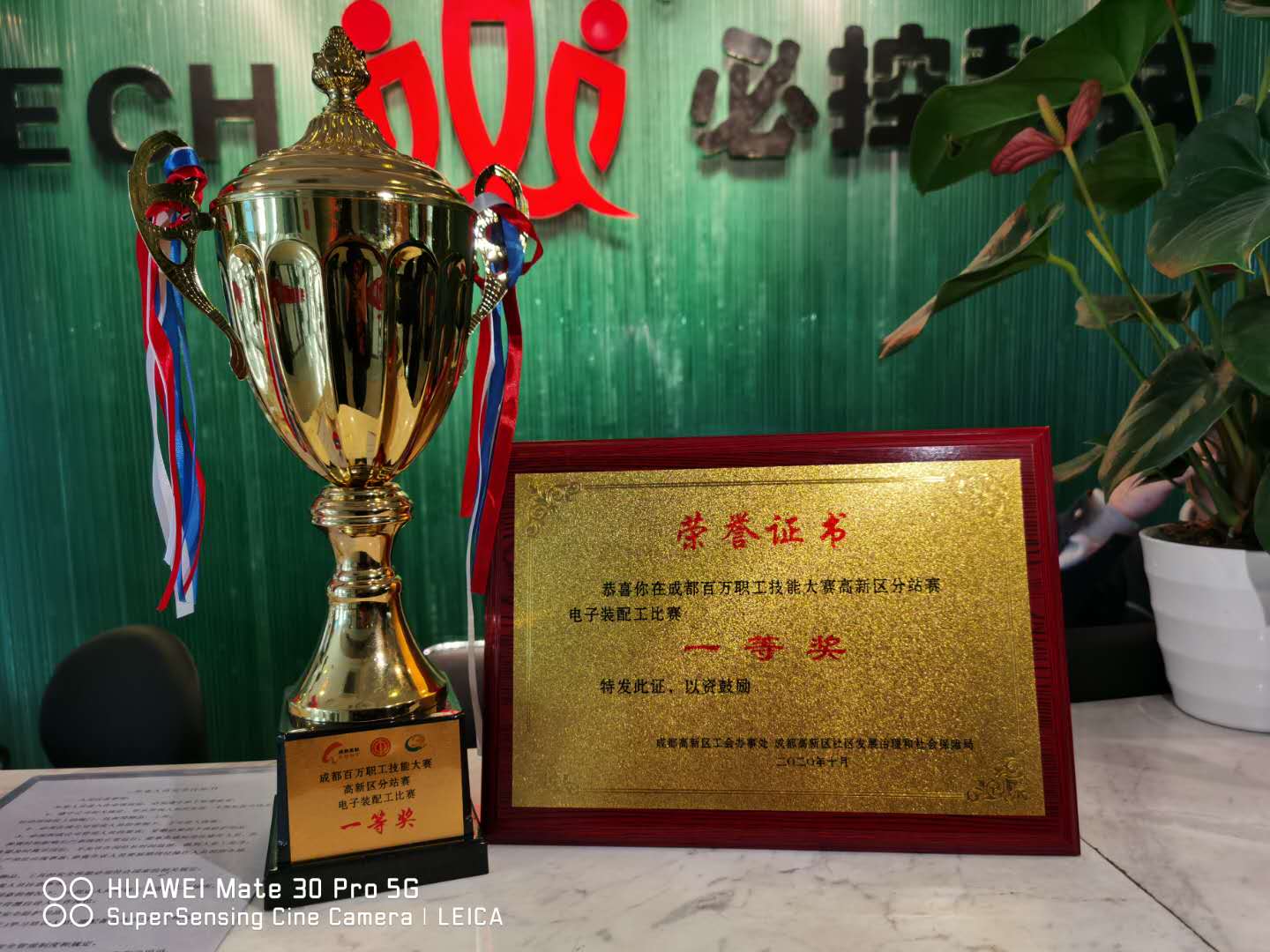 ˳ӯ����-����ƽ̨,ע�ᳩ����Ԫѡ��!